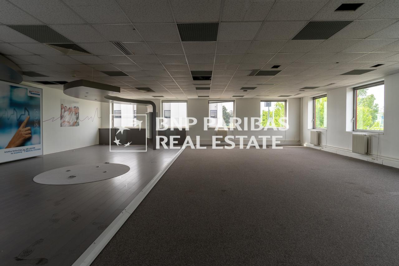 Local d'activité Antony 2935m² Location local d'activité Antony Hauts-de-Seine OLACT2002944 3